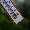 Termometr pokojowy z białą skalą (-30°C do +50°C) 20cm - 4 ['termometr wewnętrzny', ' termometr pokojowy', ' termometr do wewnątrz', ' termometr domowy', ' termometr', ' termometr drewniany pokojowy', ' termometr czytelna skala', ' termometr z podwójną skalą']