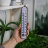 Termometr pokojowy z białą skalą (-30°C do +50°C) 20cm - 3 ['termometr wewnętrzny', ' termometr pokojowy', ' termometr do wewnątrz', ' termometr domowy', ' termometr', ' termometr drewniany pokojowy', ' termometr czytelna skala', ' termometr z podwójną skalą']
